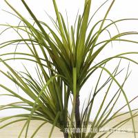 uploads/erp/collection/images/Home Garden/dgjiawang/XU0612902/img_b/XU0612902_img_b_3